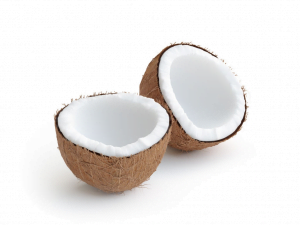 Coconut