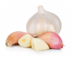 Garlic